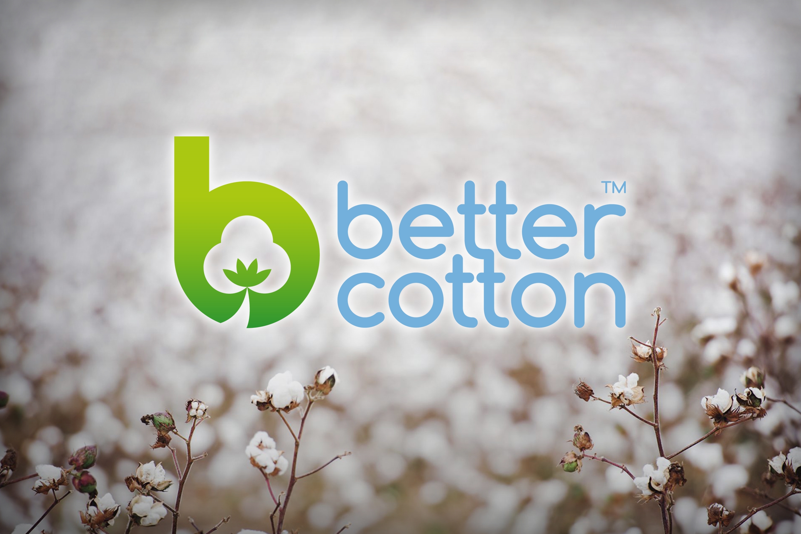 Better Cotton initiativet, er en global nonprofit-organisation der arbejder for bæredygtighed inden for bomuld.