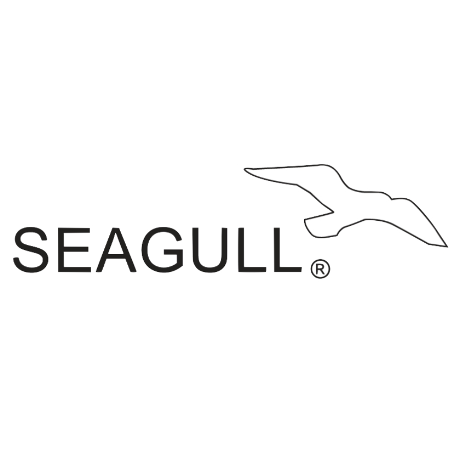 Seagull Healthcare