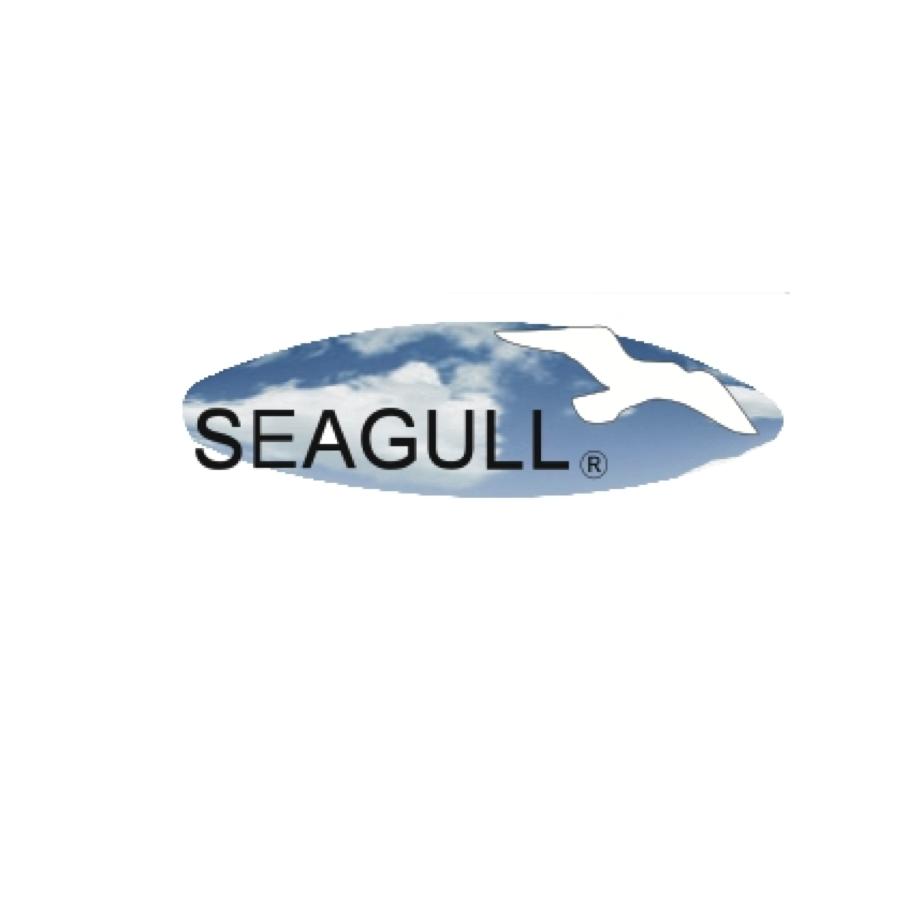 Seagull Healthcare